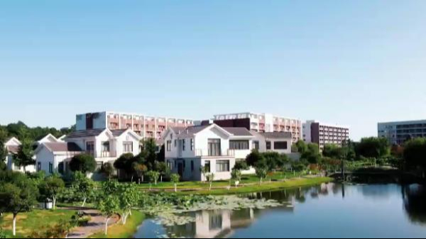 校园风光之夏荷